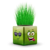 14 lü Karışık 3 Tarafı Emojili Figürlü Küp Çim Adamlar Okul Ve Okul Öncesi Hediyelik Çim Adam - 2