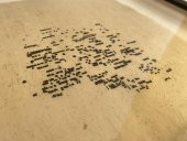 Asemic Sound Mappings Sergisi Asemik Resmi 31x66 cm 002 - 7