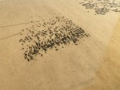 Asemic Sound Mappings Sergisi Asemik Resmi 31x66 cm 002 - 6