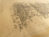 Asemic Sound Mappings Sergisi Asemik Resmi 31x66 cm 003 - 4