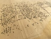 Asemic Sound Mappings Sergisi Asemik Resmi 31x66 cm 003 - 6