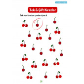 Okul Öncesi Pratik Matematik Kitabı thumbnail 7