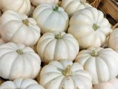 Beyaz Bal Kabağı Tohumu Kabak Casper Pumpkin - 3