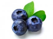BLUEBERRY YABAN MERSİNİ TOHUMU 25+ TOHUM - 2