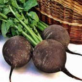 KARA TURP TOHUMU thumbnail 1