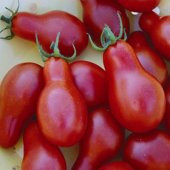 Kırmızı Armut Domates Tohumu - 2