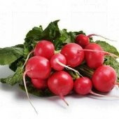 KIRMIZI TURP 100+ ADET TOHUM - 1