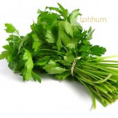 MAYDONOZ 1000+ TOHUM +SAKSI+TOPRAK thumbnail 1