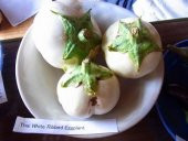 MİNİ BEYAZ TOPAN PATLICAN thumbnail 2