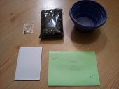 KURU ÇİÇEK TOHUMU thumbnail 3