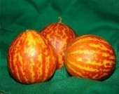 KOKULU SÜS KAVUNU SAKSI+TOPRAK SETİ thumbnail 2