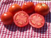 HOMESTEAD DOMATES TOHUMU thumbnail 2