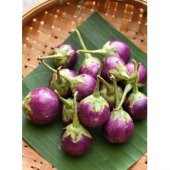 MİNİ MOR ALACALI PATLICAN thumbnail 2