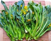 HARDAL OTU TOHUMU thumbnail 2