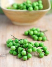 Mini Yeşil Misket Patlıcan thumbnail 1