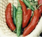 MYANMAR BİBERİ* (wiang ping pepper) thumbnail 2