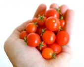 TİNY TİM CHERRY DOMATES - 2