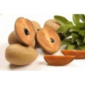 SAPODİLLA MEYVESİ TOHUMU thumbnail 1
