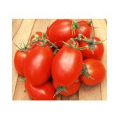 Tohhum Roma Domates 15 Tohum - 1