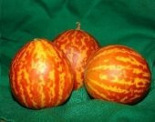 PLUM GRANNY KAVUN TOHUMU thumbnail 1