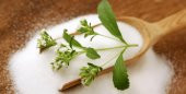 Stevia şeker otu tohumu - 3