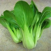 WHITE PAK CHOI *100+ ADET TOHUM thumbnail 1