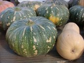 YEŞİL BAL KABAK TOHUMU - 2