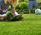 Tropikal Çim Tohumu 5 Kg thumbnail 2