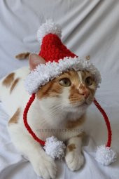 Ponponlu Yeni Yıl Kedi Köpek Şapkası Yılbaşı Noel Kırmızı Örgü Bere Pet Aksesuarları - 1