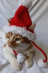 Ponponlu Yeni Yıl Kedi Köpek Şapkası Yılbaşı Noel Kırmızı Örgü Bere Pet Aksesuarları - 2