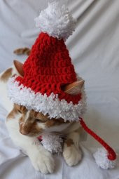 Ponponlu Yeni Yıl Kedi Köpek Şapkası Yılbaşı Noel Kırmızı Örgü Bere Pet Aksesuarları - 3