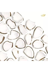 Dove 0 Aluminum Coconut & Pink Jasmine Deodorant 74GR - 6