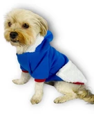 Sweet Blue Rabbit Kapşonlu Sweatshirt Köpek Kıyafeti Köpek Elbisesi - 2