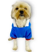 Sweet Blue Rabbit Kapşonlu Sweatshirt Köpek Kıyafeti Köpek Elbisesi - 4