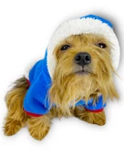 Sweet Blue Rabbit Kapşonlu Sweatshirt Köpek Kıyafeti Köpek Elbisesi - 3