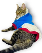 Sweet Blue Rabbit Sweatshirt Kapşonlu Kedi Kıyafeti Kedi Sweatshirt - 2