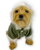 Furry Cream Kapşonlu Ceket Sweat by Kemique Köpek Kazağı - 10