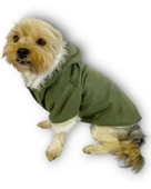 Furry Cream Kapşonlu Ceket Sweat by Kemique Köpek Kazağı - 1