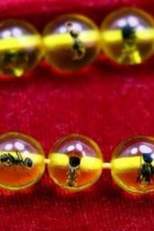 Gogoey Karınca Fosilli Toz Kehribar Tesbih thumbnail 2