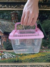 Betta Kabı 18x11x13cm - Mika Kaplumbağa Balık Taşıma Kabı - 4