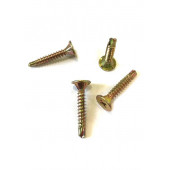 Alçıpan Vidası 4x25 Matkap Uçlu Aqua Panel Parlak Vida Havşa Başlı 500 Adet - 2