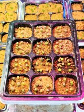 Tohum Dünyam 20 Adet Lithops Mix Tohumu - 5