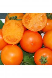 Tohum Dünyam Mandarin Orange Domates Tohumu - 1