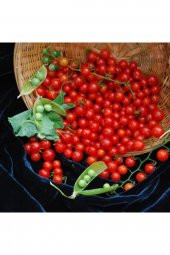 Tohum Dünyam Sweet Pea Currant Domates Tohumu - 1