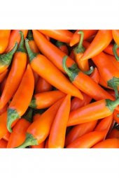 Tohum Dünyam Bulgaristan Havuç Acı Biber Tohumu - 1