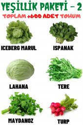 Tohum Dünyam Yeşillik Paketi-2 Iceberg Marul, Ispanak, Lahana, Tere, Maydanoz, Turp, Tohum Seti 600 Adet Tohum - 1