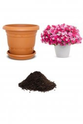 Tohum Dünyam Karışlık Petunya Çiçeği Tohumu Ekim Seti thumbnail 1