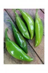 Tohum Dünyam İthal Nadir Acı Balık Biberi Tohumu 10 Adet Tohum Biber Tohumu thumbnail 1