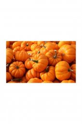 Tohum Dünyam Iri Bal Kabağı Tohumu 5 Adet Kabak Tohumu thumbnail 2