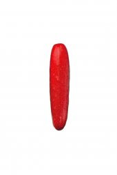 Tohum Dünyam Nadir İthal Kırmızı Salatalık Tohumu 5 Adet Tohum Red Cucumber - 1